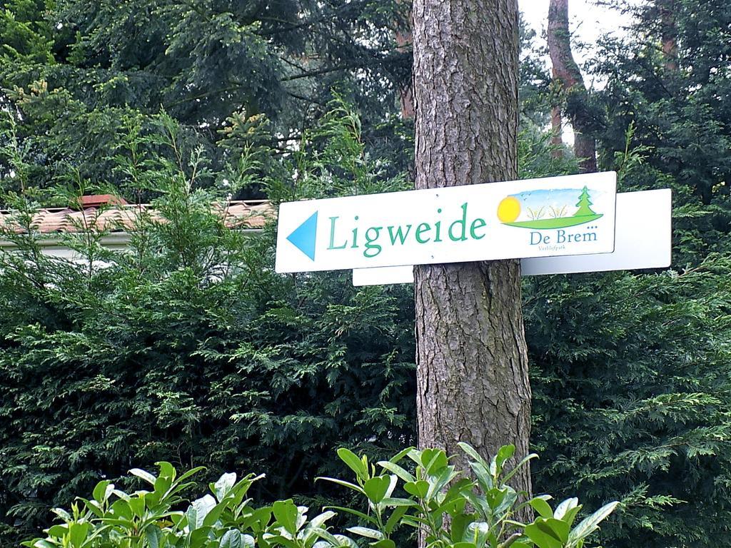 Verblijfpark De Brem Lille Luaran gambar